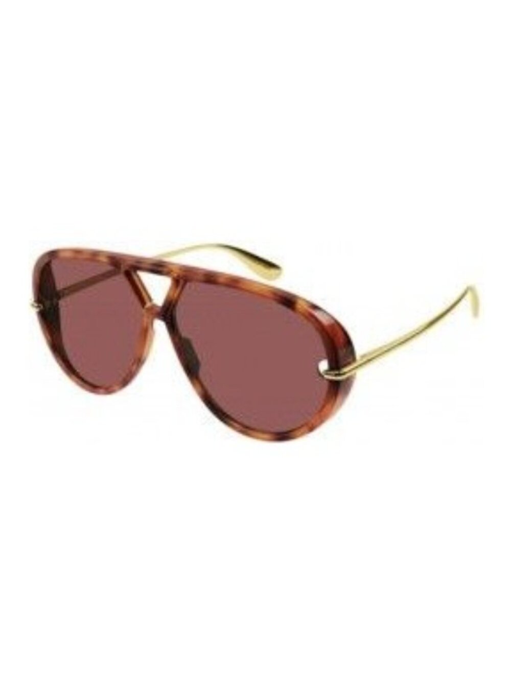 NWT Bottega Veneta BV1274S 003